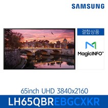 삼성 매직인포 서비스 결합 상품 스마트 사이니지 모니터 LH65QBR, 자가설치