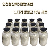 느타리버섯 종균 재배 버섯 키우기 노랑 흑색 흰색 칡느타리 원목재배 15병 세트, 노랑느타리 병종균 15병