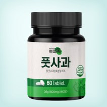 풋사과 분말 가루 사과 초모 식초 파란사과 그린애플 초록사과 애플페논 청사과 식이섬유 셀렌 아연 19종유산균 함유 휴대가 간편한 포켓사이즈 60정