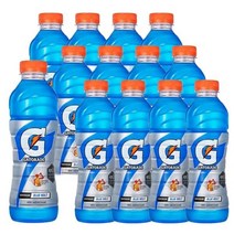 게토레이 블루볼트 이온음료 600ml x12펫 음료수, 게토레이 블루볼트 이온음료 600