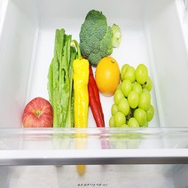 웰로스 올인원 냉장고 항균 탈취 패드 쓱 깔기만 하면 항균 탈취 신선도 유지 까지 냉장고탈취제, 30매