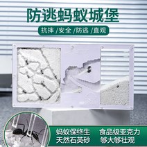 개미집 키우기 세트 성 m 작업장 젤리 작업장 집 대형 생태 모래 매너 하우스, 하얀 모래 둥지 + 개미 + 삼각형 브래킷 + 여