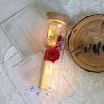 프리저브드 드라이플라워 LED 유리병 장미 꽃다발 예쁜 편지 편지지 특별한 기념일 생일 크리스마스 화이트데이 발렌타인데이 빼빼로데이 곰신 선물, LED 유리병 편지, 장미(레드)