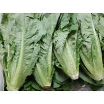 [특급] 싱싱한 통로메인 500g /1kg, 통로메인500g