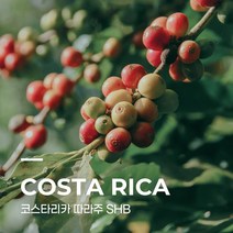 [생두] 코스타리카 따라주 SHB 5kg
