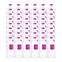 한국청정음료 몽베스트 1L X 48개(유라벨)