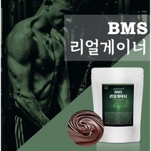 BMS리얼게이너1200g 초코맛 단백질보충제 근육벌크업