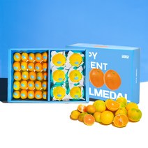 귤메달 제철 시트러스 종합선물세트, 대 (4kg)