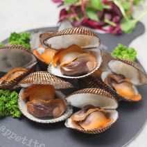 순천만수산 여자만 피꼬막 2kg(특품), 2kg, 1개