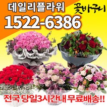 꽃다발 꽃바구니 프로포즈 결혼 기념일 사랑 고백 졸업식 장미100송이 50송이, (선택27)핑크소국혼합