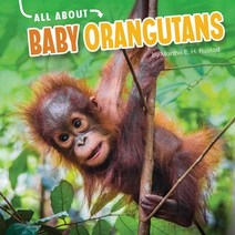 All about Baby Orangutans Hardcover, Pebble Books, English, 9781663907950