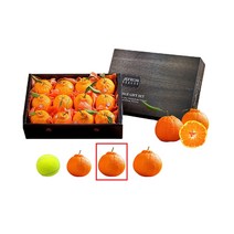 당도높은 신품종 제주도레드한라봉 3kg x 2, 2개