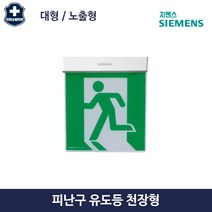 비상구 유도등 소방 피난구 조명 표지 천정형 대형 노출형 지멘스, 2.양면, 2.좌방향