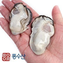 통수산 최상급 통영 생굴 2kg