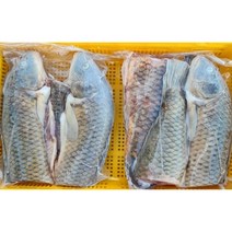 동부민물수산 국내산 신선한 수산물 민물생선 손질잉어 4kg, 1팩