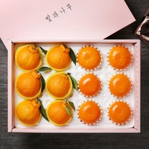 [빛과나무]프리미엄팩 제주한라봉.천혜향 5kg(각8입) +보자기, 단품