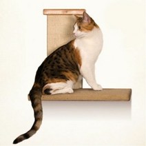 키밍 / D17 파이오니아 스카이 클라이머., 본품