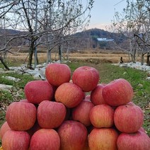 (신사와장터)안동 햇부사사과 가정용(흠과 기스과)5kg, 가정용(흠과 기스과)5kg중대과혼합(17과내외)