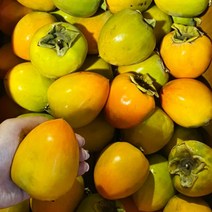 못생긴 대봉감 홍시용 가정용 랜덤과 8kg + 추가 2kg (총 10kg)