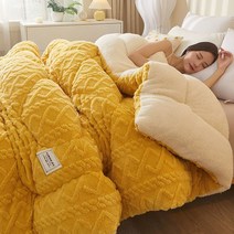 AIDU 겨울용 가벼운 양털극세사 이블 캐시미어 이불 두꺼운 타프솜 이불 폴라폴리스 이불, 180x220cm 4KG