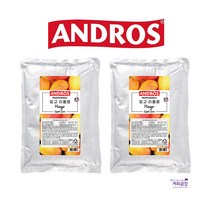 (2개)앤드로스 망고 리플잼 1kg x 2개