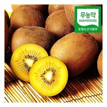 [푸르젠] [해남직송] 무농약 골드키위(해금) 3kg/개당 50g~69g 소과, 골드키위 3kg/개당 50g~69g 소과