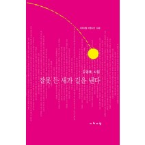 잘못 든 새가 길을 낸다:강경호 시집, 시와사람, 강경호 저