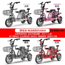 삼륜 오토바이 전기 바이크 이륜차 3인승 노인 전동차 팻바이크, 48V, 12인치 8A 리튬