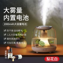가열식가습기 웰포트 가열식 가습기 휴대용 무음 침실, 밀리터리그린