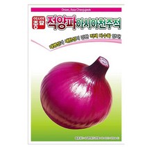 아시아천주적 적양파 종자 5g 양파 씨앗 자색 보라색 가을 파종 월동 내한성 텃밭 김장 채소