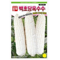 옥수수씨앗종자 백초당 옥수수(7401 IMP)(2000립)