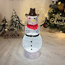 얼음나라 눈사람 워터볼 오르골 스노우볼 크리스마스조명 크리스마스 워터볼 LED, 카우보이눈사람