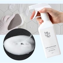 벽곰팡이제거제 실리콘 벽지 화장실 베란다 욕실 청소 세제, 곰팡이제거제 1+1