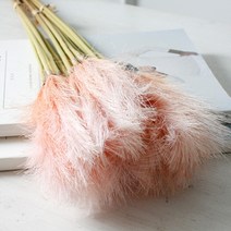 cocooning 가을 억새풀 팜파스 핑크 뮬리 갈대 조화