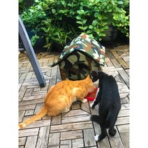 길고양이집 야외 겨울 길냥이 급식소 실외 원목 숨숨집, 카무플라주(도어커튼 포함)  XL 고양이 어머니 가족