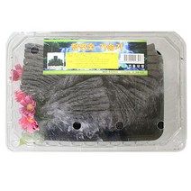 참 숯 가습기 다용도 공기 정화 탈취 요리 숯화분 숯인테리어 천연 참숯 숯부작 편백나무 자연 미니 _ 22092786EA