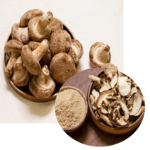 문경 유황 백송화버섯 100g 120g 500g 1kg 문경버섯 유황버섯 송화버섯요리 송화버섯 효능 송화고버섯, 유황 백송화버섯 500g 상품