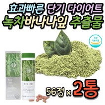상체살 빼기 내장지방 단기간 다이어트 결혼전 예신 예비신부 3일 5일 7일 10일 1주일 일주일 2주 3주 효과빠른 식약처 인증 카테킨 녹차 20대 30대 40대 여자 여성 추천
