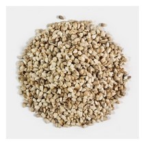 국산 홍화씨 홍화자 250g