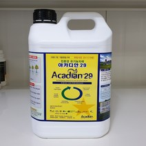 아카디안29 5L