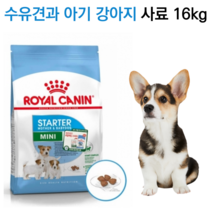 [신제품] 임신한 소형견 영양사료 마더 베이비독 16kg 기호성 푸들 말티즈 포메 비숑 시츄 말티즈 수유견 미니푸들 치와와 요크셔 대용량사료 기력보충, 습식통조림X12개