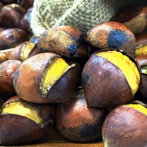 [팜쿡] 국내산 포르단밤(칼집) 4kg, 상세 설명 참조