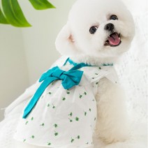 강아지 여름원피스 린넨원피스 백리본 S-XXL 강아지 여름신상옷