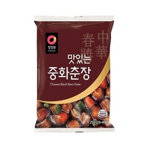 청정원 감칠맛 맛있는 중화춘장 짜장 별미 풍미 볶음밥소스 250g 간단한요리 간편식, 33개
