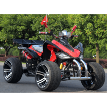 사륜오토바이 125cc 오프로드 농촌 이동카 레저 체험, 125cc 오토바이 + 8인치 타이어