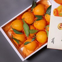 [온도씨]제주 한라봉 선물세트 2.5kg 중과 10-16과내외, 단품