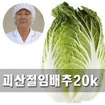 괴산젊은농부절임배추 추천 순위 베스트 100