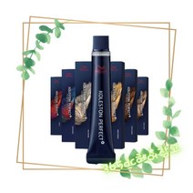 [신형] 웰라 콜레스톤 퍼펙트 염색약 80g(산화제별도), 10/3