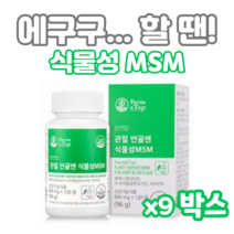 관절 연골엔 식물성 MSM 120정 하루두알 2개월분 엠에스엠 디메틸설폰 N아세틸글루코사민 비타민D 초록입홍합 보스웰리아 상어연골 생선콜라겐 해조칼슘 할머니 할아버지 부모님 등산, 9개