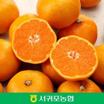 (서귀포농협) 농협 제주 서귀포 타이벡 감귤 5kg / L / 12bx 이상